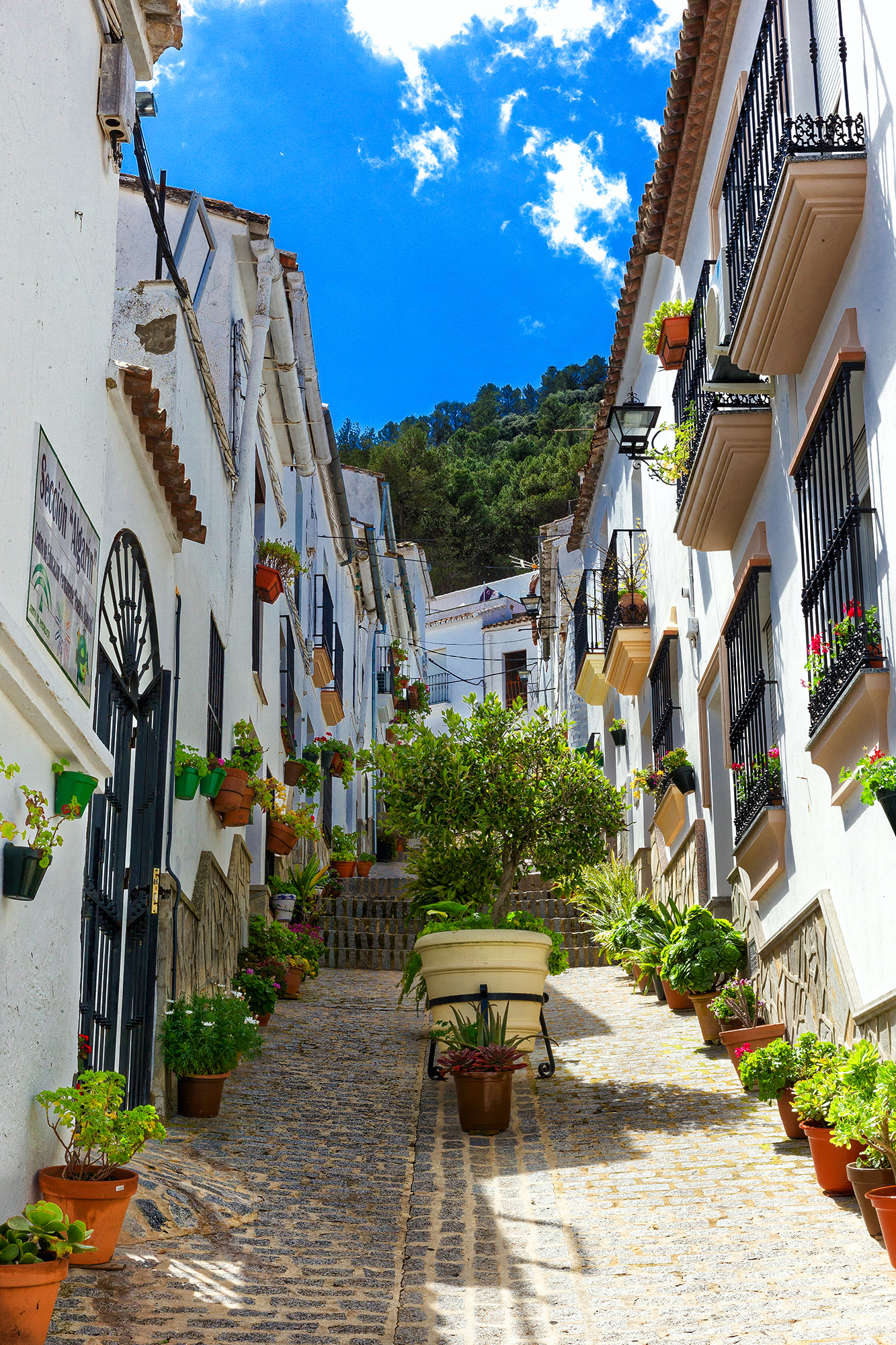 El Gastor - Village blanc typique aux maisons toutes soignées